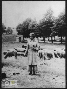 Life in Terezín was hard and Doris suffered from frostbit.