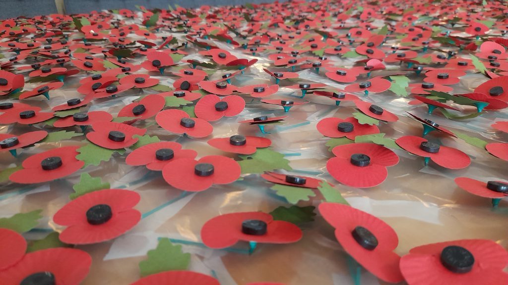 Remembrance Week Poppies